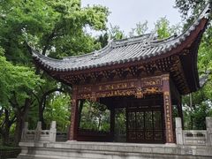 -汇龙潭