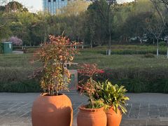 -白塘生态植物园