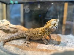 -酷嗒动物文化乐园(cutezoo西溪乐天城店)