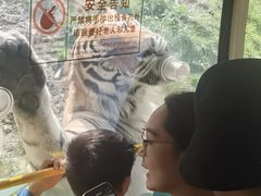 -栾川竹海野生动物园
