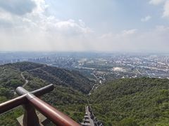 -杭州半山国家森林公园