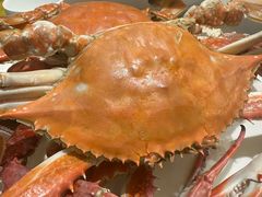 -北塘海鲜·天津菜(大光明桥旗舰店)