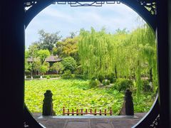 -桂湖森林公园