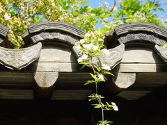 -芥子园