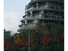 -洲头咀公园