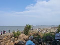 -吴淞炮台湾湿地森林公园烧烤区