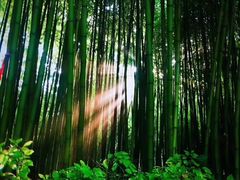 -竹泉村旅游度假区