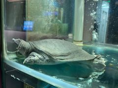 -1718海鲜姿造(苏宁宴请臻选店)