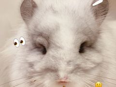 -龙猫仔乐园(惠福东路店)