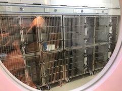 -萌兽医馆·绝育·24小时内科·宠物医院(德胜店)