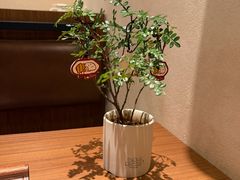 -CURRY YA 熟成咖哩專門店(深圳湾万象城店)
