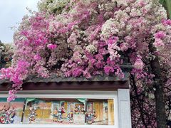 -深圳国际园林花卉博览园