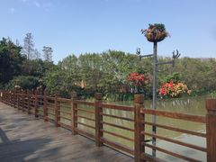 -大湾区中央湿地公园