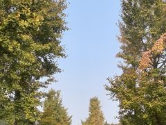 -春满园生态餐厅(南宫路店)