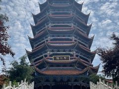 -铁山坪森林公园