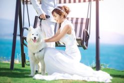 点击看大图 -摩玛婚纱摄影(杭州店)