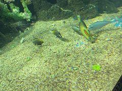 -锦艺城海洋馆