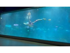 -福州罗源湾海洋世界旅游区