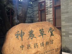 -广州神农草堂中医药博物馆
