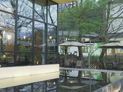 -龙苍沟森林公园