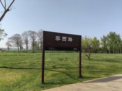 -汉长安城未央宫国家考古遗址公园