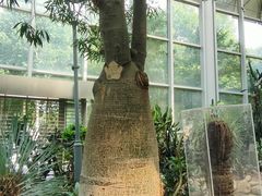 -郑州植物园
