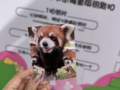 -水上乐园·欢乐世界