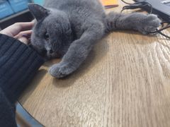 -龟与熊猫宠物公园(南坪店)