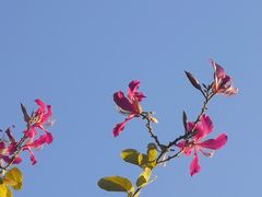 -辛亥革命纪念馆