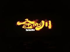 -奥斯卡升龙国际影城(RealD Cinema)