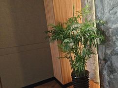 -宴周康·精致江浙菜(周浦店)