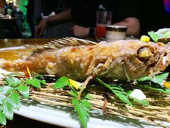-和彩放题餐厅(酒仙桥店)