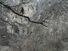 -秦岭风景区