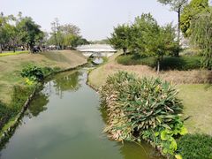 -王借岗森林公园