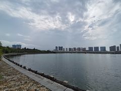 -五缘湾湿地公园