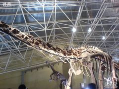 -世界恐龙谷景区