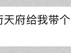 -小街天府