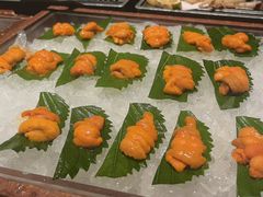 -月龍吟(朝龙汇店)