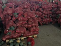 -东方鼎信农副产品交易中心