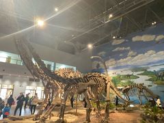 -自贡恐龙博物馆