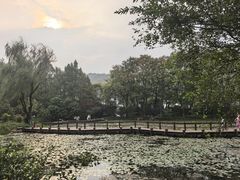 -八卦田遗址公园