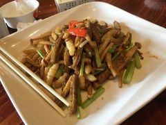 -顺德了能馆(虎门店)