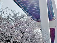 -南浦大桥长途旅游客运站