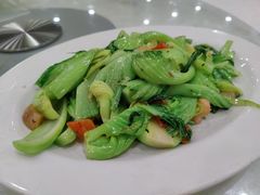 -姚林轩