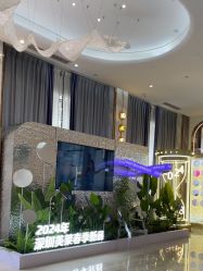 -深圳美莱医疗美容医院