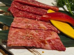 -炼火烤肉店