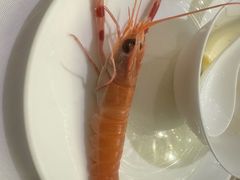 -悦泰环球美食自助(金茂旗舰店)