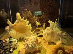 -梦幻海洋王国(吾悦广场张家港店)
