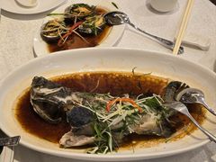 -金鮀岛潮州酒家