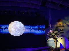-海合安武汉极地海洋公园